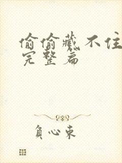 偷偷藏不住番外完整篇封面