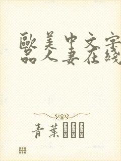 欧美中文字幕精品人妻在线看