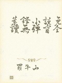 叶锋小说免费阅读无弹窗全文封面