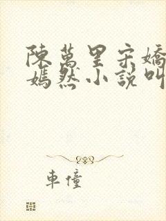 陈万里宋娇娇唐嫣然小说叫什么名字