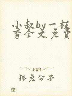 小叔by一枝独秀全文免费阅读笔趣阁最