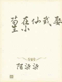 苟在仙武娶妻长生小