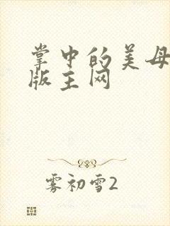 掌中的美母第一版主网封面