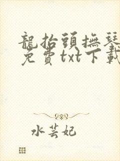 龙抬头抚琴的人免费txt下载封面