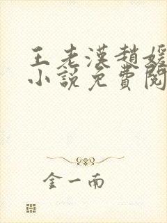 王老汉赵媛媛王小说免费阅读