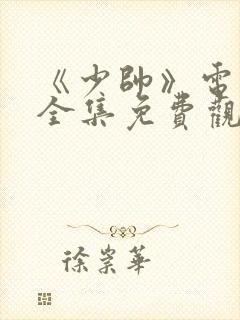 《少帅》电视剧全集免费观看