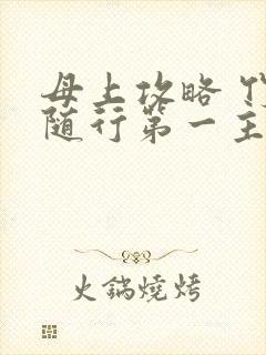 母上攻略 竹影随行第一主板