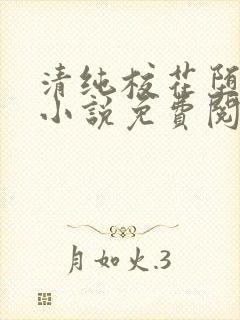 清纯校花堕落记小说免费阅读