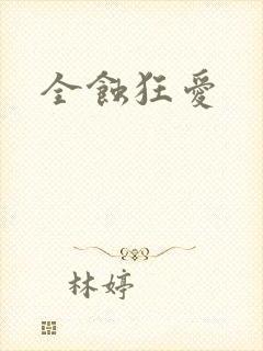 全蚀狂爱封面