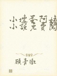 小坏蛋阿姨官场小说免费阅读