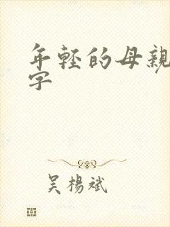 年轻的母亲4中字