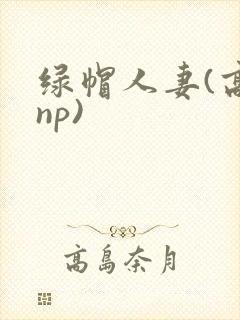 绿帽人妻(高hnp)
