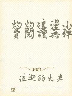 灼灼浪漫小说免费阅读无弹窗下载