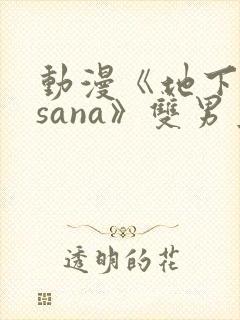 动漫《地下偶像sana》双男主