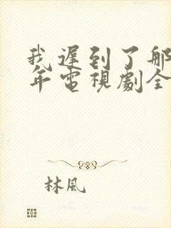 我迟到了那么多年电视剧全集免费封面