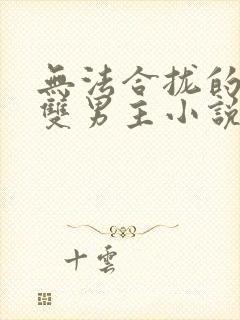 无法合拢的总裁双男主小说