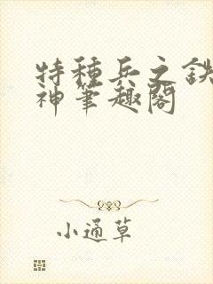 特种兵之铁血军神笔趣阁