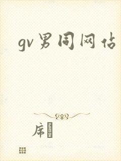 gv男同网站