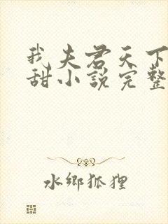 我夫君天下第一甜小说完整版