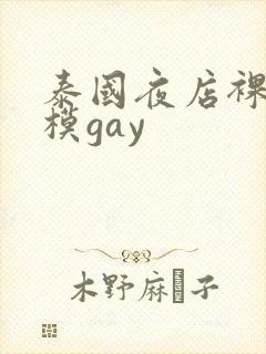 泰国夜店裸体男模gay