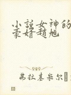 小说女神的上门豪婿赵旭