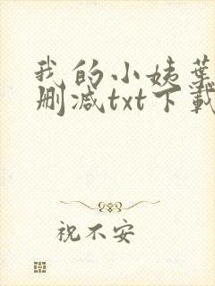 我的小姨叶凡无删减txt下载
