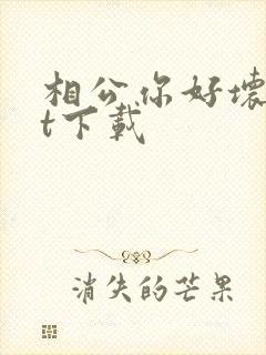 相公你好坏txt下载