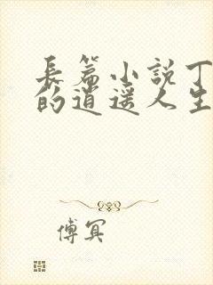 长篇小说丁二狗的逍遥人生封面