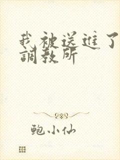 我被送进了私奴调教所