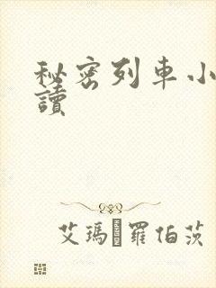 秘密列车小说阅读封面