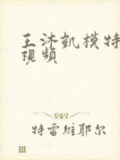 王沐凯模特走秀视频