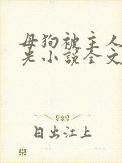 母狗被主人扇耳光小说全文阅读封面