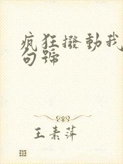 疯狂拨动我的小句号封面