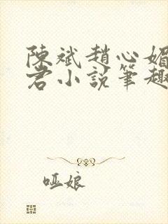 陈斌赵心媚高婉君小说笔趣阁