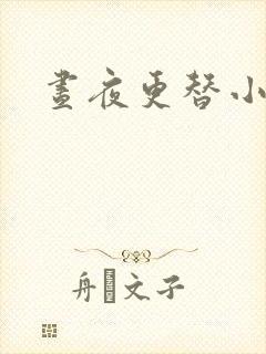 昼夜更替小说封面