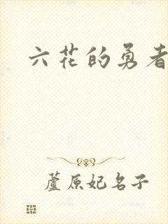 六花的勇者小说封面