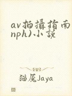 av拍摄指南(nph)小说