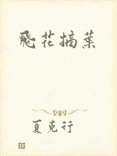 飞花摘叶封面