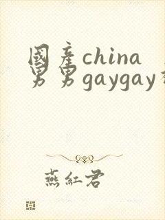 国产china男男gaygay视频