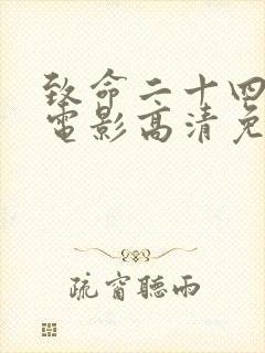 致命二十四小时电影高清免费观看