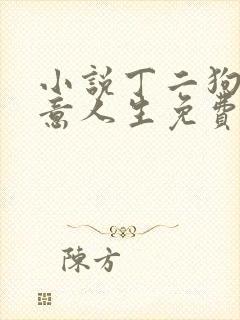 小说丁二狗的肆意人生免费阅读