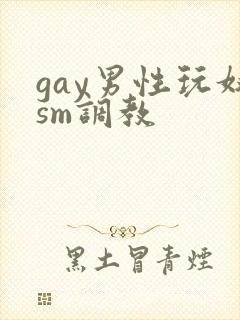 gay男性玩奴sm调教