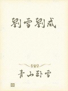 刘雪刘成封面
