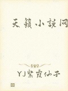 天籁小说网封面