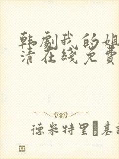 韩剧我的姐姐高清在线免费观看