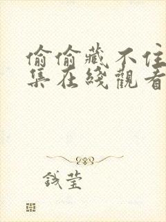 偷偷藏不住剧全集在线观看免费