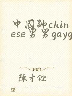中国帅chinese男男gaygay网站