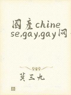 国产chinese,gay,gay网站