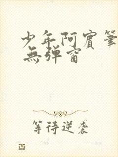 少年阿宾笔趣阁 无弹窗