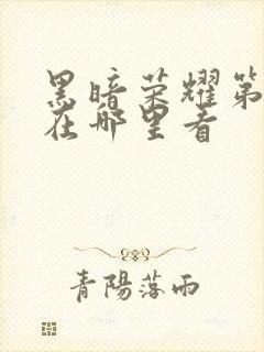 黑暗荣耀第二季在哪里看